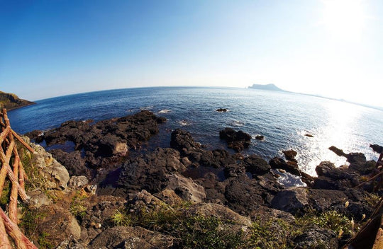 ROKINON 12mm F2.8 フルフレーム魚眼レンズ Amazon.co.jp: Rokinon フルフレーム魚眼レンズ 12mm F2.8