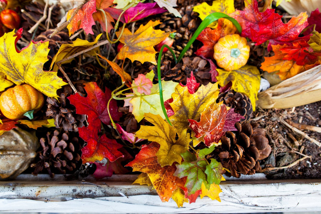 ミサキ　Canon 24mm Amazon.com : Samyang SY24M-C 24mm f/1.4 Wide Angle Lens for